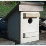 Dormouse Nest Box
