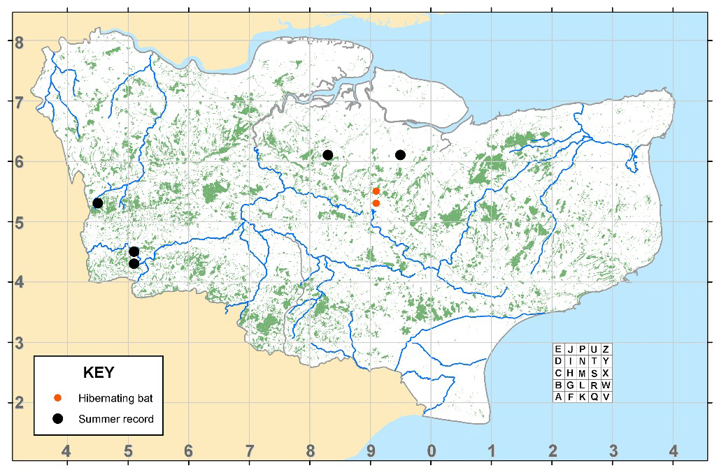 Bechsteins bat distribution in Kent
