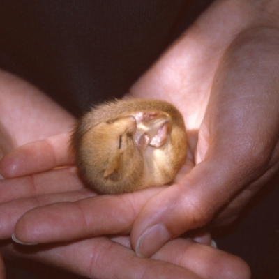 _20100324_1259654362