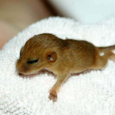 i_20100324_1013500473