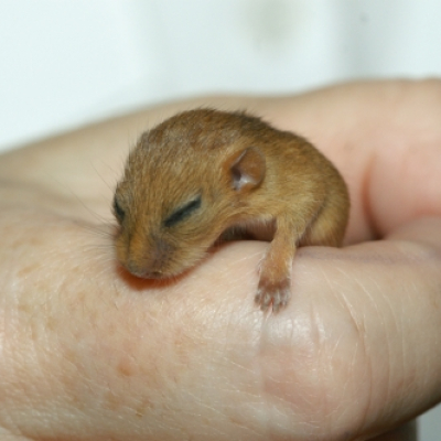 i_20100324_2066945435