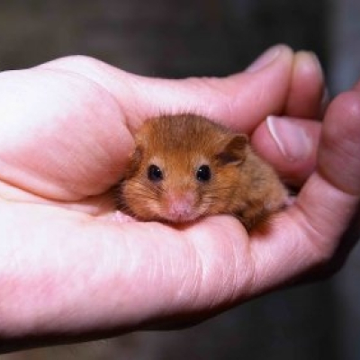 i_in_hand_20100324_1062883627