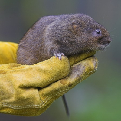 i_20100324_1599703658