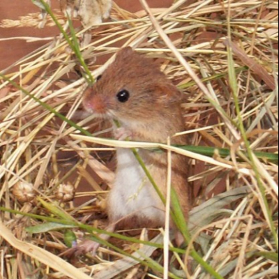 i_20100324_1306212130