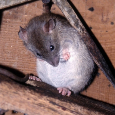 i_20100324_1377211107